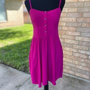 Express Pink Dress